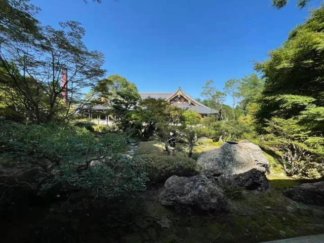 开云官网-日本阿含･桐山杯许家元首度加冕，井山事不过“五”